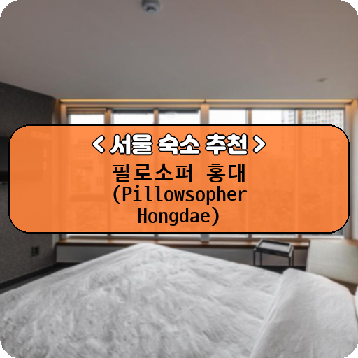 필로소퍼 홍대 (Pillowsopher Hongdae)_thumbnail_image